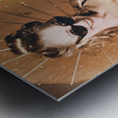 Vintage American pin-up girl in summer rain Metal print