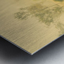 Mystical lake Metal print