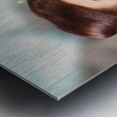 Fantasy fine art beauty. Fairy tale butterflies Metal print