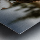 Surprised Woman Metal print