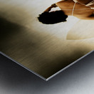 Surfing Forecast Metal print