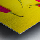 Purple peppers Metal print