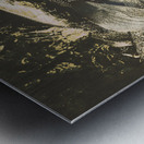 Vintage cabernet show Metal print