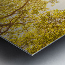 Up and away Metal print