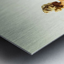 Elegant classical beauty  Metal print