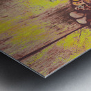 Passion for fashion Metal print