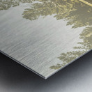 Old-fashioned country lane Metal print