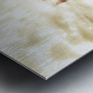 Music Notes Metal print