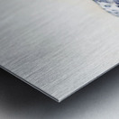 Harry Hermit Crab Metal print