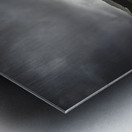 Gordon River Road Metal print