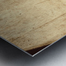 Rustic golf club memorabilia Metal print