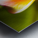 Centered  Metal print