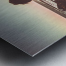 Western wonderer Metal print