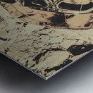 Pioneering aviation and travel Metal print