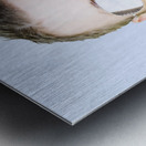 Handsome summer man drinking coconut cocktail Metal print