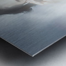 Classy sixties fashion girl in foggy field Metal print