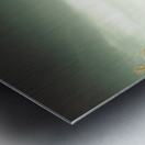 Australian bridges Metal print