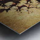 Weathered love nest Metal print