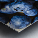 Blueberrys background Metal print