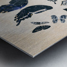 Scrapbook butterflies Metal print