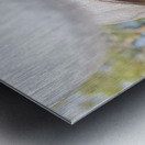 Golf Four And Out…Cold Metal print