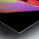 Color runs Metal print