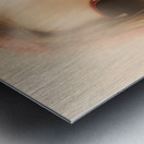 Old-fashioned mysterious beauty Metal print