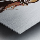 Steam engine express Metal print