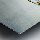 Beacon beach Metal print