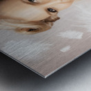 Vintage Portrait Of A Perfect Female Beauty Metal print