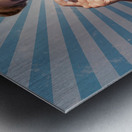 Young Happy Vintage Woman With Old Film Camera Metal print