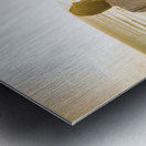 Spirit of Tasmania Metal print