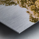 Ornate outbacks Metal print