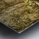 Autumn path obscured by fallen foliage Metal print