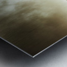 Foggy mountainous forest Metal print