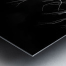 Winters bare Metal print