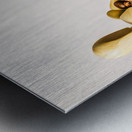 Baristacrat Metal print