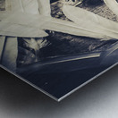 Feathers of freedom and the statue of liberty Metal print