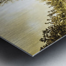 Up the garden path Metal print