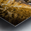 Sea shells and ocean ripples Metal print