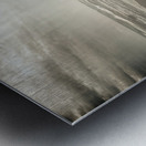 The travel bug Metal print