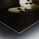 Crafty ghost bananas Metal print