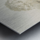 Trees in fog and mist Metal print