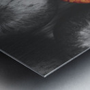 Selective colour still life fruits Metal print