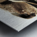 Painted patrol Metal print