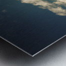 Cherry farm in the sowing Metal print