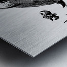 Greywaters  Metal print