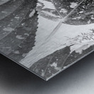 Leaves and light Metal print