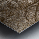 Vintage Deception Bay woodland Metal print