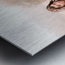 Landscape Metal print